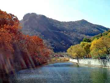 新澳天天开奖资料大全旅游团，阿拉尔物流